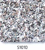 S1010.jpg (21710 bytes)